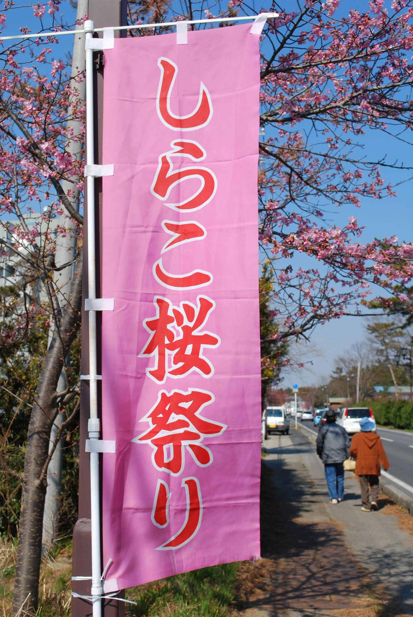 e0071178_1427762.jpg