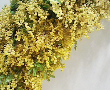 c0007384_814198.jpg