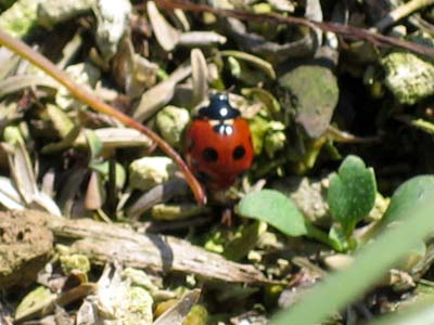 b0119190_23413166.jpg