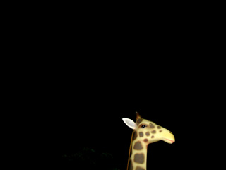 c0089792_1321934.jpg