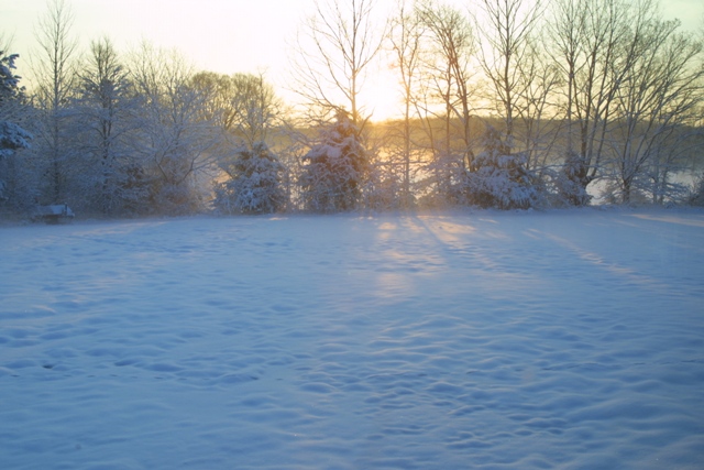c0062603_145888.jpg