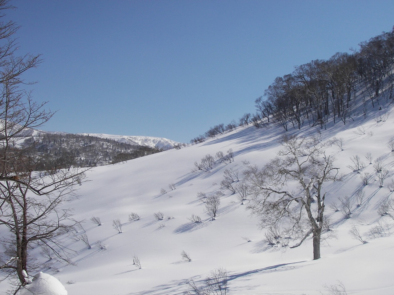 c0153411_13181890.jpg