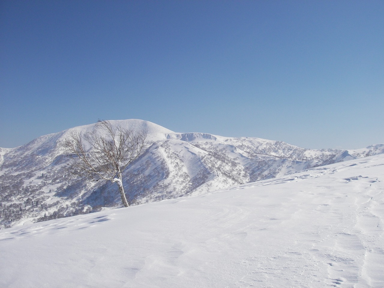c0153411_13204821.jpg