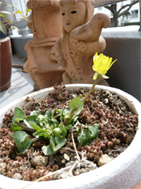 c0022913_20204489.gif