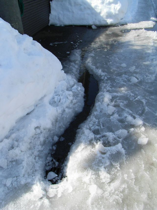 雪解け進む _c0025115_23431340.jpg