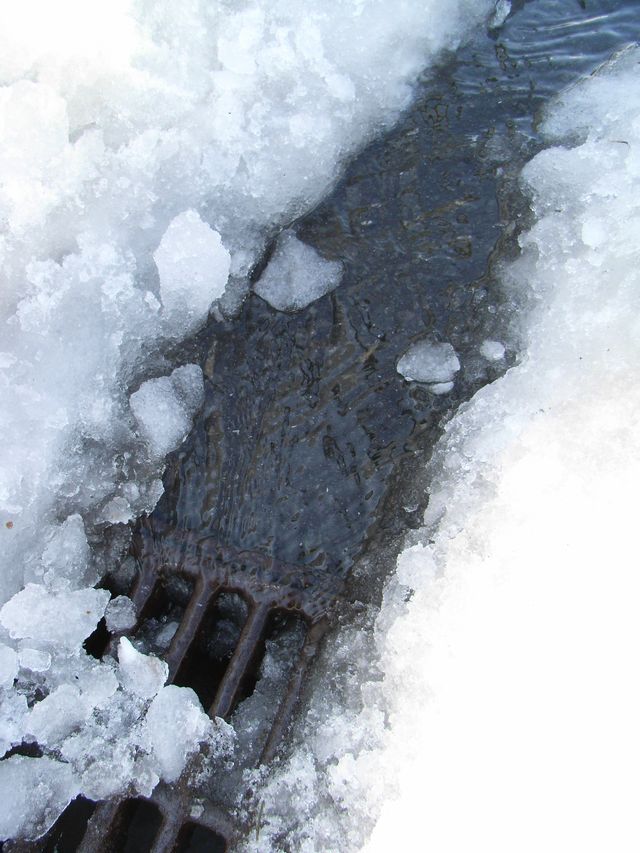 雪解け進む _c0025115_23463831.jpg
