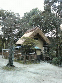 料理旅館 江戸三@奈良公園_b0019820_20162913.jpg