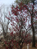 b0089323_16485058.jpg