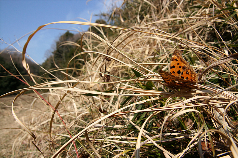 d0054625_21232313.jpg