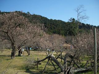 f0010925_9543758.jpg