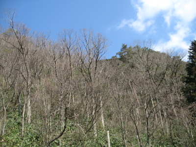e0110940_884045.jpg