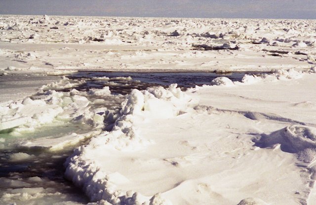 流氷の海に出る　　北海道６_b0112443_1193794.jpg