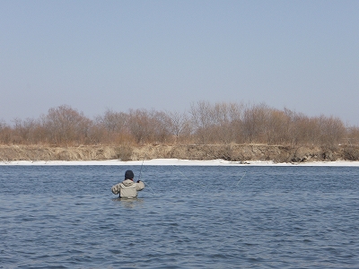 d0075843_11122923.jpg