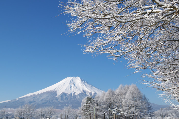 今日を行かずしていつ行く!_e0056449_2225740.jpg
