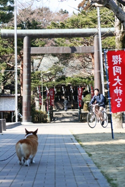 c0137257_14215267.jpg
