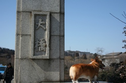 c0137257_14554094.jpg