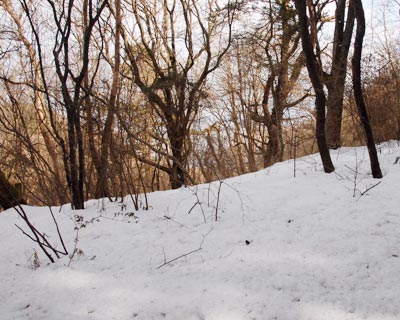 おおさか環状自然歩道　平石峠～岩橋山～大和葛城山_e0035757_16175631.jpg