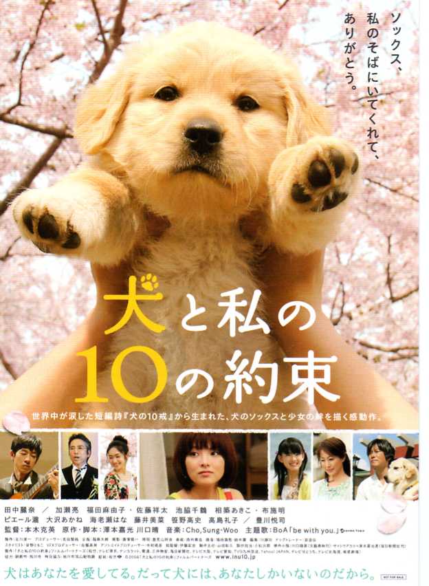 ｢犬と私の１０の約束｣_e0025459_18412684.jpg