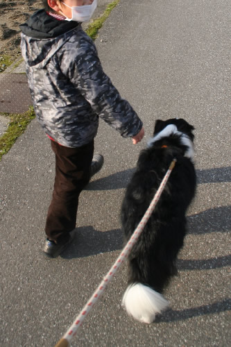 犬散歩＿おとぎの森公園_a0077764_22232071.jpg