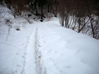 安芸冠山は招く～雪山登山_c0153173_21523095.jpg