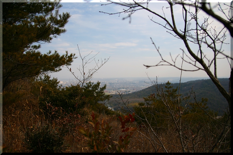 e0024081_20113784.jpg