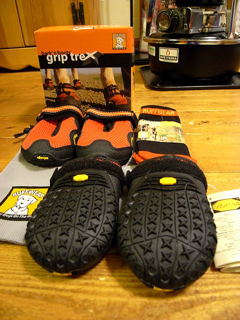 Bark\'n Boots Grip Trex_a0093592_23141728.jpg