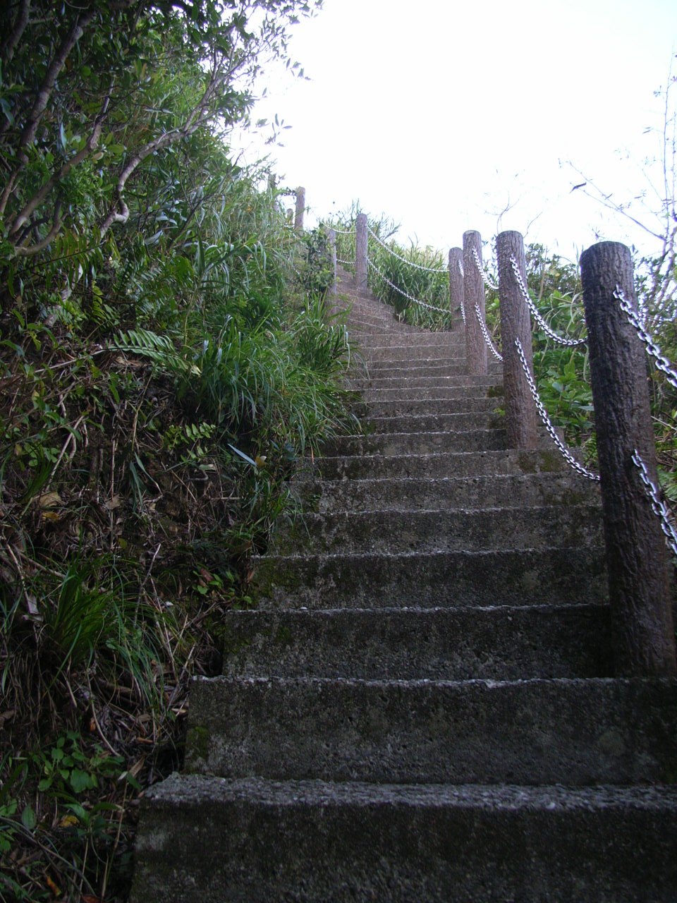 f0056412_23295334.jpg