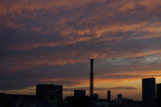 b0019313_2031082.jpg