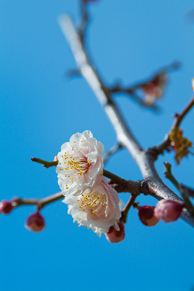 香り…立つ。_e0117517_16453193.jpg