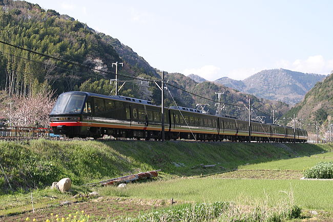 黑船リゾート電車_f0057324_151385.jpg