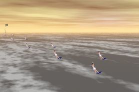 BOLERO MAURICE RAVEL CLIP ON-LINE _d0148729_1983916.jpg