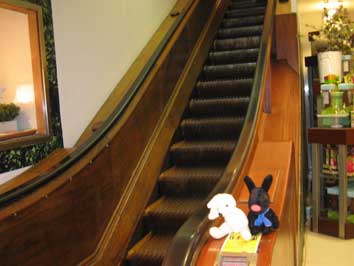 The Original Escalators of Macy\'s_b0036432_1136734.jpg