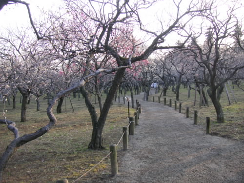 c0048132_11234635.jpg
