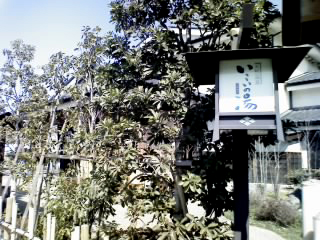 f0091934_01202.jpg