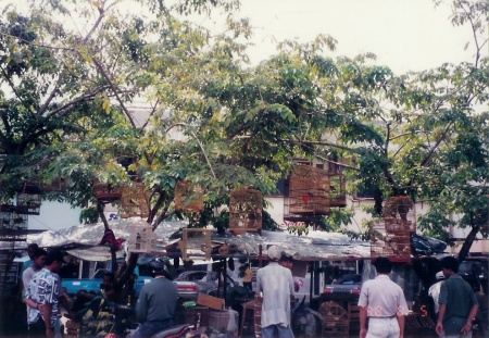 c0022340_22303354.jpg