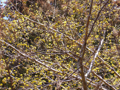 b0045357_8445414.jpg