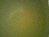d0007957_21112079.jpg