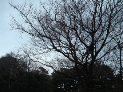 c0108460_15101942.jpg