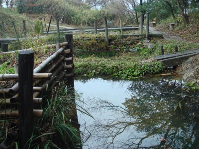 うみべの森を育てる会３月度運営委員会_c0108460_1575125.jpg