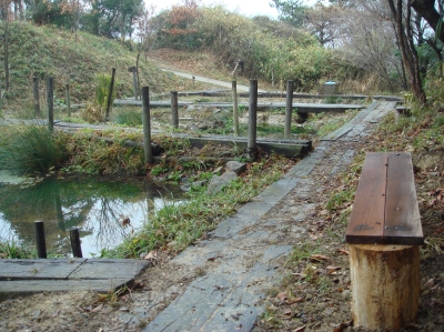 c0108460_15928.jpg