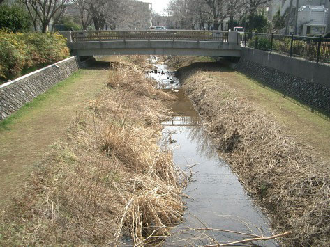 野川、護岸工事_e0064461_11293937.jpg