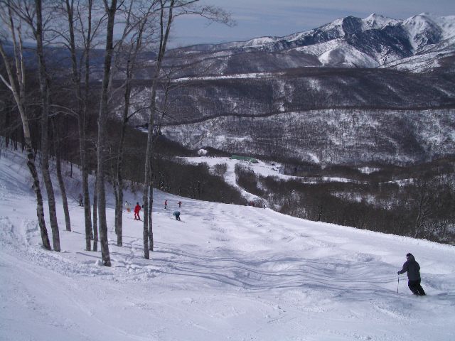 d0010065_2217087.jpg