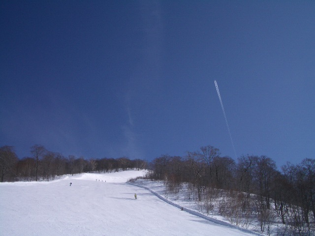 d0010065_229776.jpg