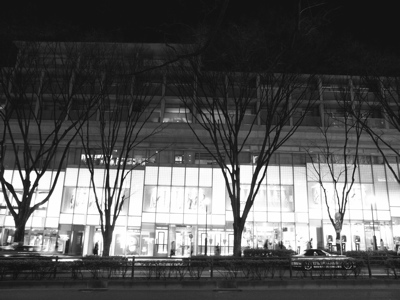 束の間_e0045775_2348491.jpg