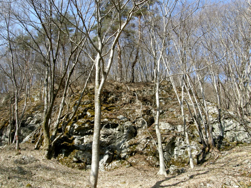 河村九淵