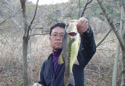 昨日と違う_a0040876_20313629.jpg