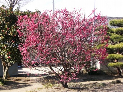 c0078480_224644100.jpg