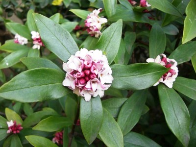 c0078480_23153325.jpg