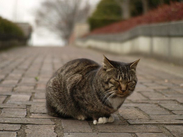 そんなの関係ない？_c0109780_23283967.jpg
