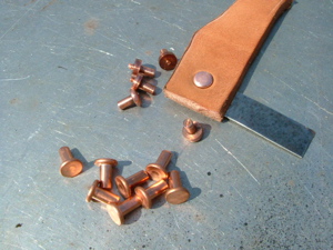 5132LemOzzL._UF1000,1000_QL80_.jpg